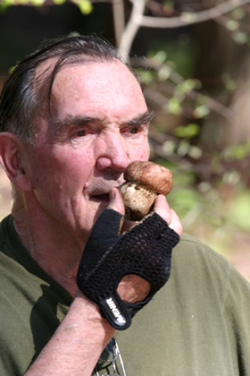 Larry with bolete button