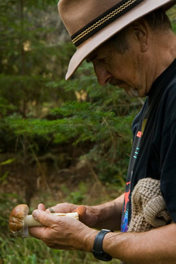 first bolete