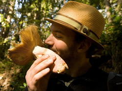 Joel snifs a Russula