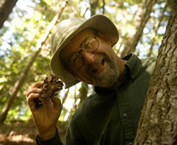 David George finds a pigs ear