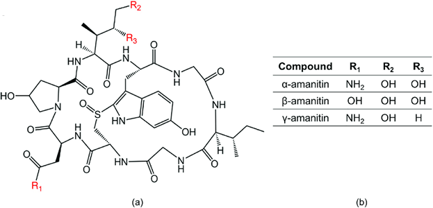 Chemical Structure