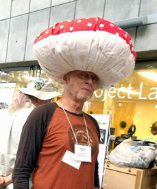 weird mushroom hat
