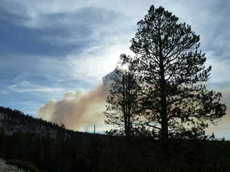 Fire along Tioga Rd near Tamarack Campground