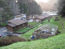 Albion Field Station