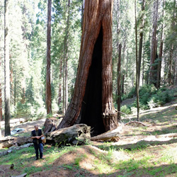 peter werner with sequoia