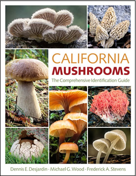 California Mushrooms