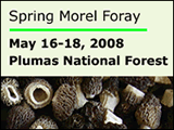 spring foray