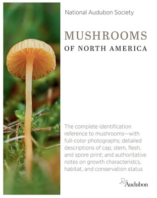 Mushrooms of North America