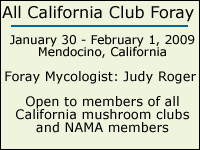 All California Club Foray