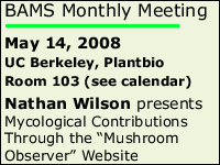 next meeting
