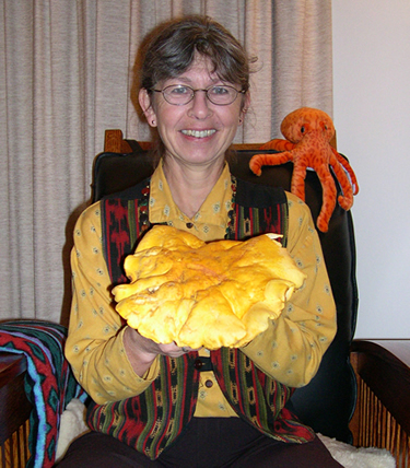 giant Cantharellus californicus - photo by Debbie Viess