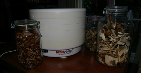 Nesco Food Dehydrator with dried mushrooms