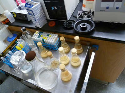 Lab bench