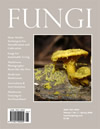 Fungi Magazine