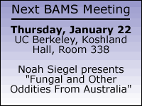 next meeting