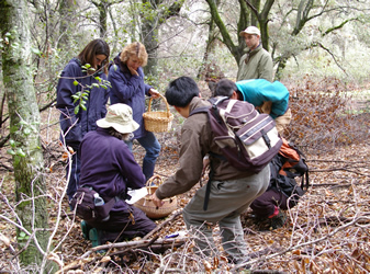 San Diego Mycological Society foray