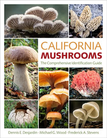 california mushrooms